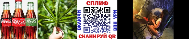 Canna-Cookies марихуана  Инсар 