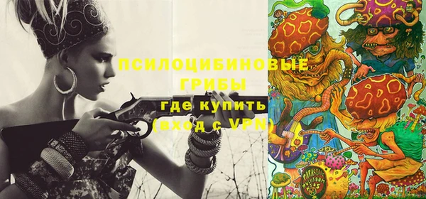 a pvp Заволжск