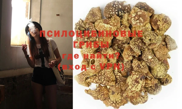 спайс Заволжье